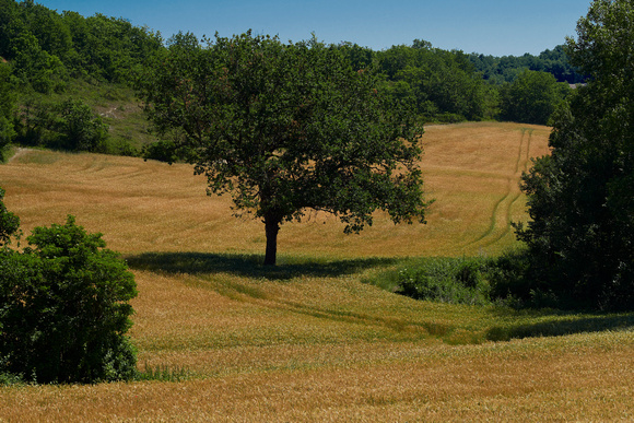 234plaisance-Panorama