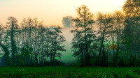 030vallée de chauvry-Panorama