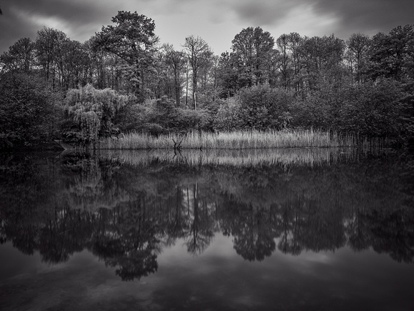 0306foret de montmorency virage