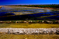 Ile de Ré